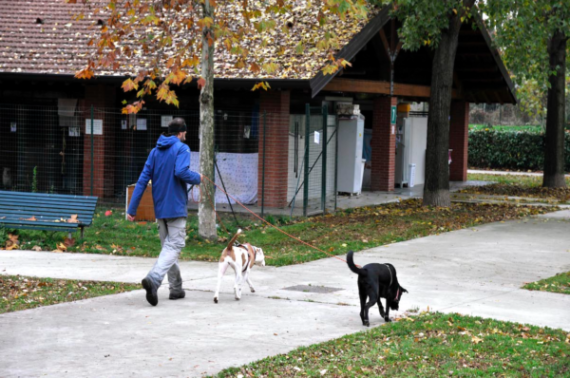 Milano – Al via i corsi per ottenere il patentino da possessore di ‘cani speciali’. Info utili