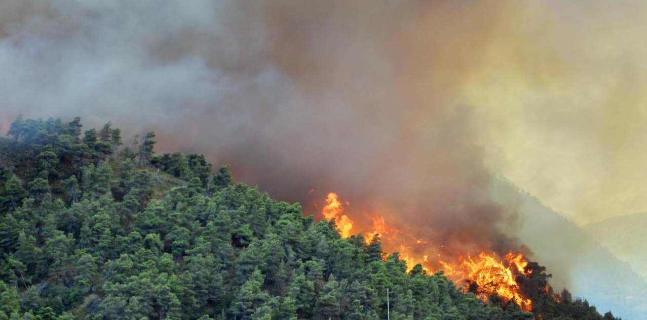 Milano – Incendi boschivi in Lombardia: rinnovata la convenzione con i Vigili del Fuoco: stanziamento di quasi un milione di euro