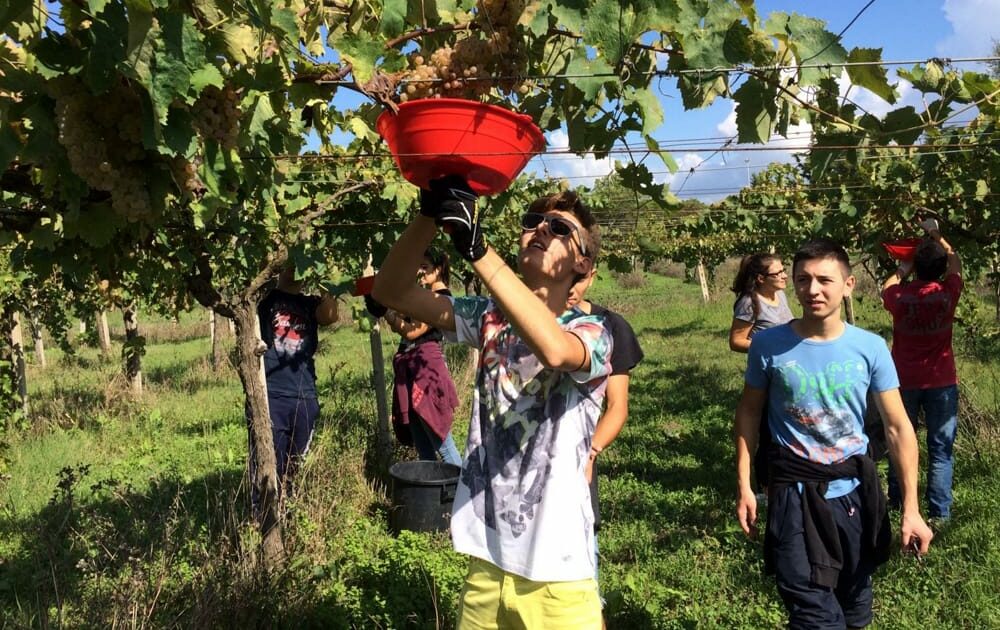 Milano investe sulle competenze dei ragazzi – Oltre 5 milioni di euro per Istituti professionali e agrari. Il piano
