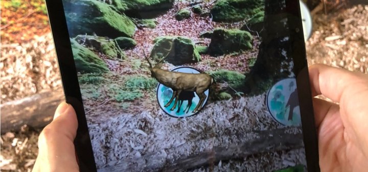 Eventi a Milano – Dentro le foreste al Parco Nord, con rettili e anfibi da tutto il mondo