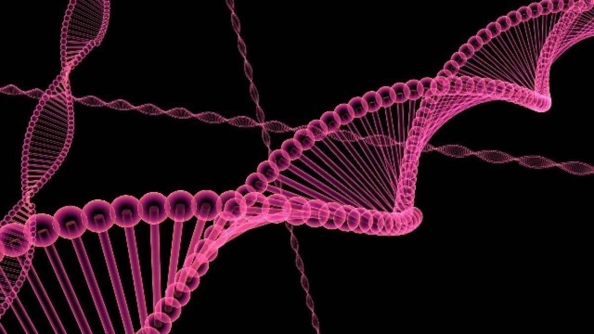 Scoperta per caso molecola capace di uccidere 29 tipi di tumore – Il farmaco sul mercato