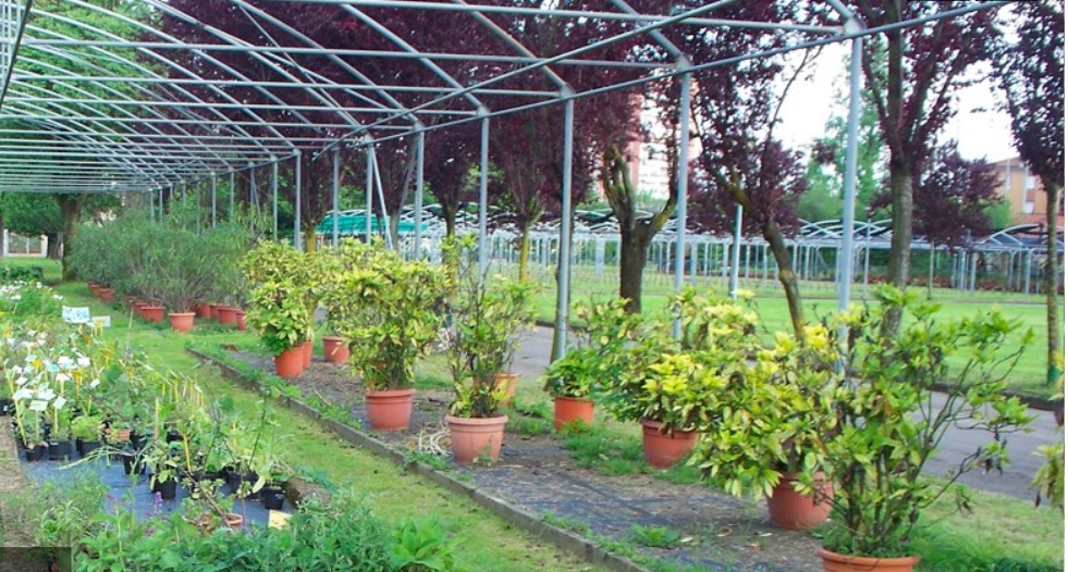 Milano – Alla scoperta dei colori d’Autunno negli orti botanici. Il programma