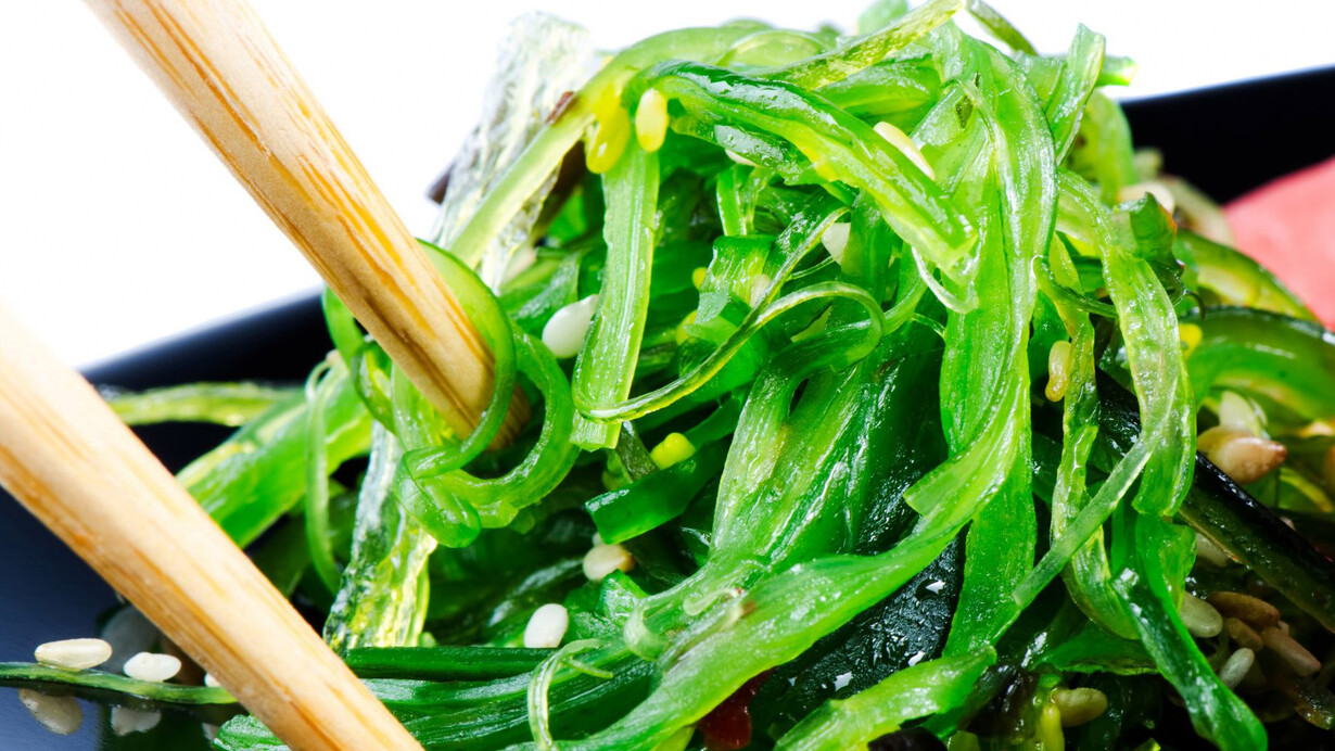 Alghe, un business da 9 miliardi di euro – In Italia vendite aumentate del 14%