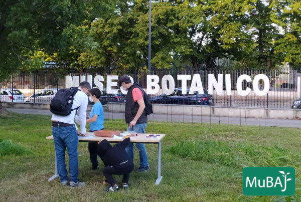 Milano – Domani è l’ultimo sabato per scoprire il Museo botanico Aurelia Josz e vivere la magia del Natale. INFO