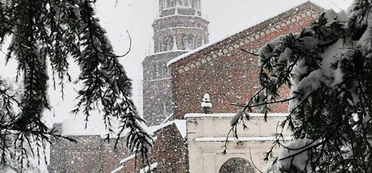 Natale a Milano: in città si preparano alberi con materiali naturali. L’appuntamento