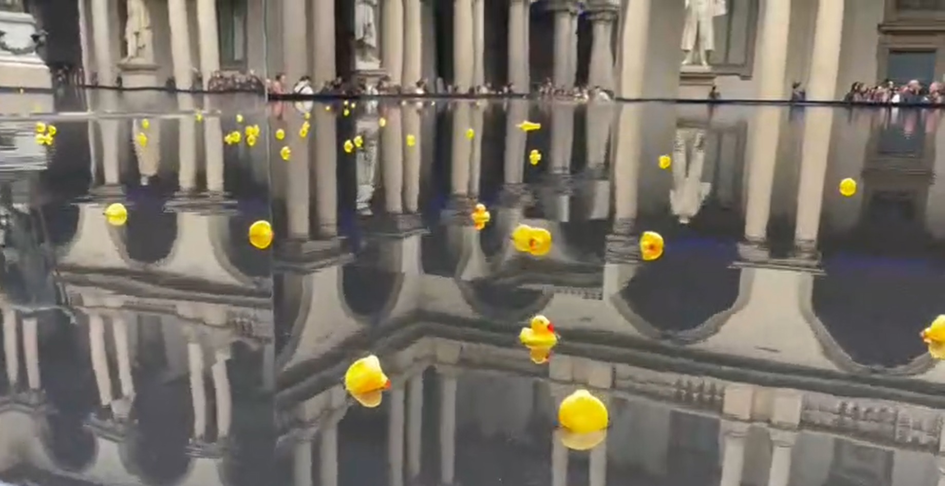 Milano – Fuorisalone, Accademia di Brera ‘allagata’ da un’installazione. L’ira degli studenti: “E noi ci buttiamo le paperelle”