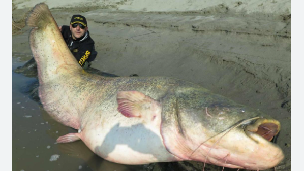 In Lombardia catturato il Mostro del Po – Lo cercavano da 23 anni