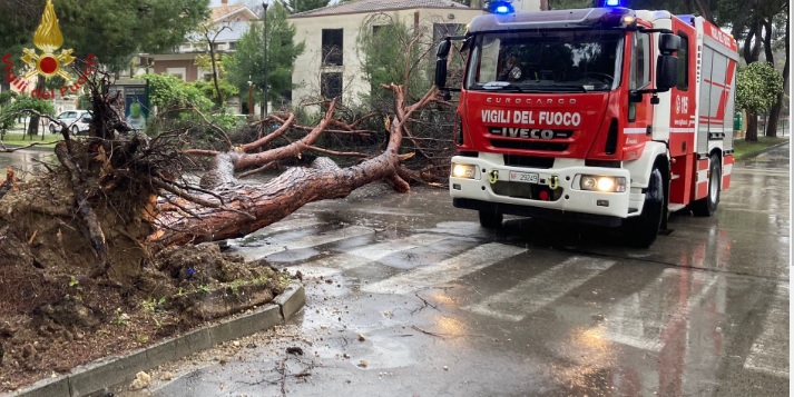 A Milano notte di forti temporali: alberi crollati e allagamenti. La situazione