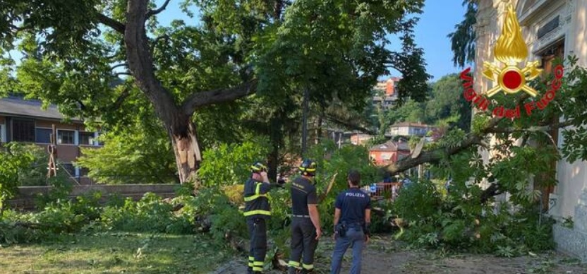 Gravissimo incidente in Lombardia – Crolla albero all’oratorio sui bambini, ci sono feriti gravi