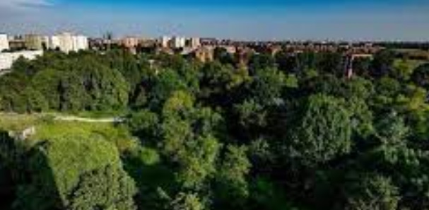 Milano – “Salvate il bosco di via Falck!” I milanesi dicono ‘No’ alla speculazione edilizia nell’area verde
