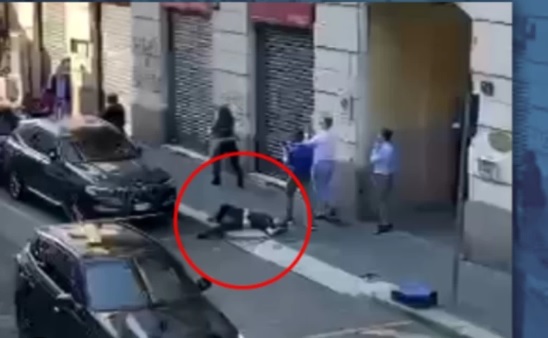 Vergogna a Milano: Vigile urbano interviene per sedare una lite – Atterrato con un pugno al volto