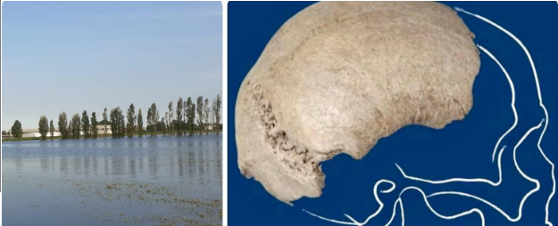 In Lombardia una grande scoperta: trovato nel fiume il cranio di un homo sapiens. “E’ risalente al Paleolitico”