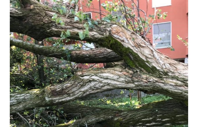 Milano chiude i parchi cittadini – Divieto di recarsi nelle aree verdi non recintate: l’annuncio dopo il tremendo temporale