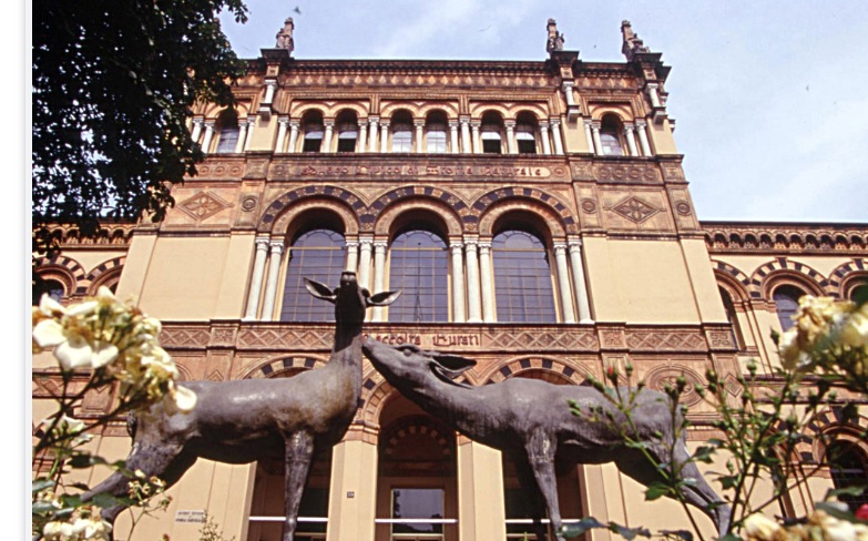 A Milano riaprono finalmente il Museo di Storia Naturale e il Planetario – INFO
