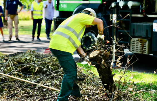 Milano chiede aiuto ai Milanesi per ripristinare il verde dopo i nubifragi – Parte il progetto che coinvolge i cittadini: INFO