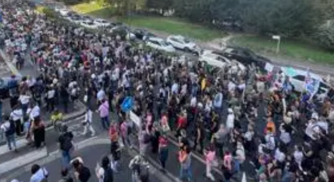 Milano: “Giù le mani dai maiali!” Grande successo per la manifestazione animalista. Arrivano in 10 mila