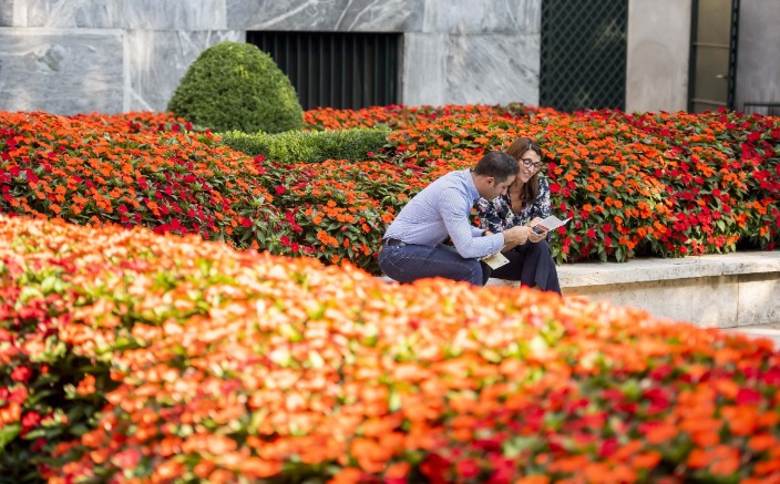 Eventi a Milano – Torna ‘Colori d’Autunno’, la magia del “foliage” e dei colori autunnali in una grande mostra-mercato, fra piante e fiori INFO