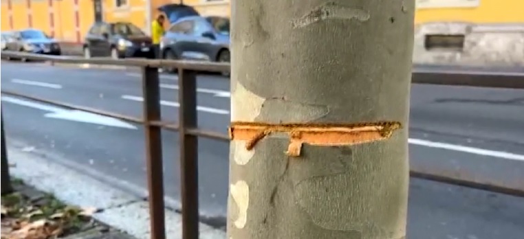 Milano – Tende cavo d’acciaio in strada, ora il giovane chiede scusa: “Non volevo uccidere”