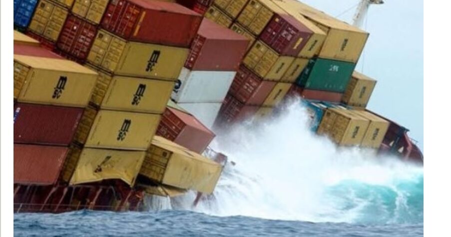 Ogni anno 1500 container finiscono nell’oceano – E la vita marina è minacciata: i dati allarmanti