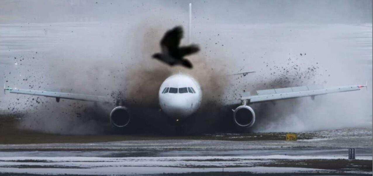 Terrore sul volo Orio al Serio-Vilnius – Aereo atterra sulla neve, sbanda e finisce fuori pista