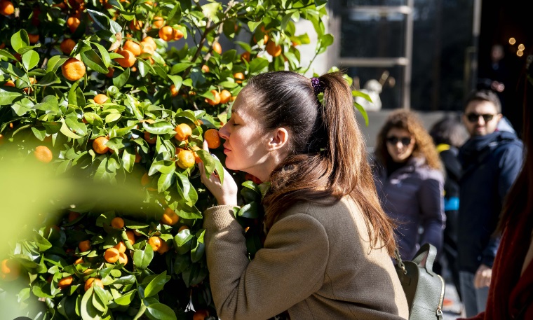 Milano capitale degli Agrumi – La Fiera di piante, frutti, birre aromatizzate e profumi. L’evento