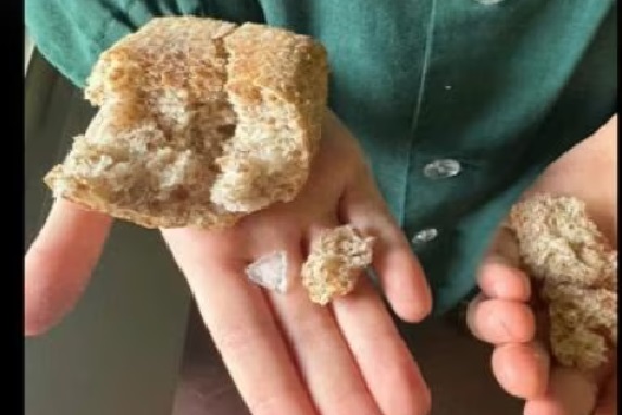 Milano – Trova plastica nel pane, alla mensa della scuola. “Da oggi serviamo grissini”