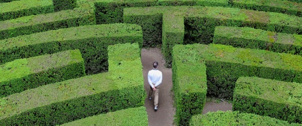 Milano – Piazza San Babila si trasforma in un labirinto di foglie (aperto al pubblico). Ecco perché: l’evento
