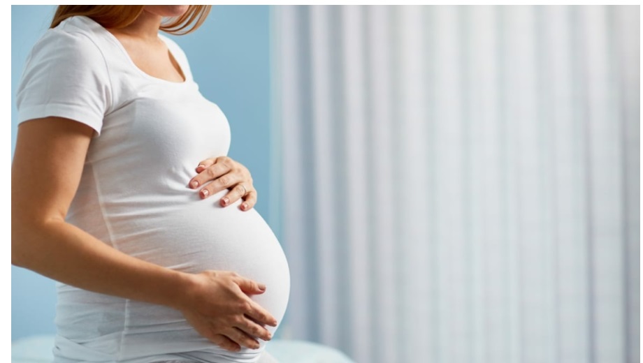 Lombardia – “Sei incinta? Allora dimettiti!” Bufera sulla frase di una consigliera FdI