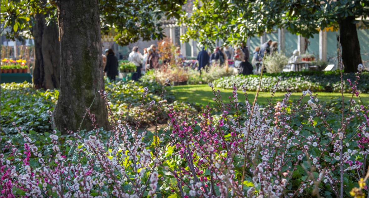 A Milano la mostra mercato dedicata a piante, fiori e giardinaggio – Colori e profumi nello splendido giardino di Villa Necchi  INFO