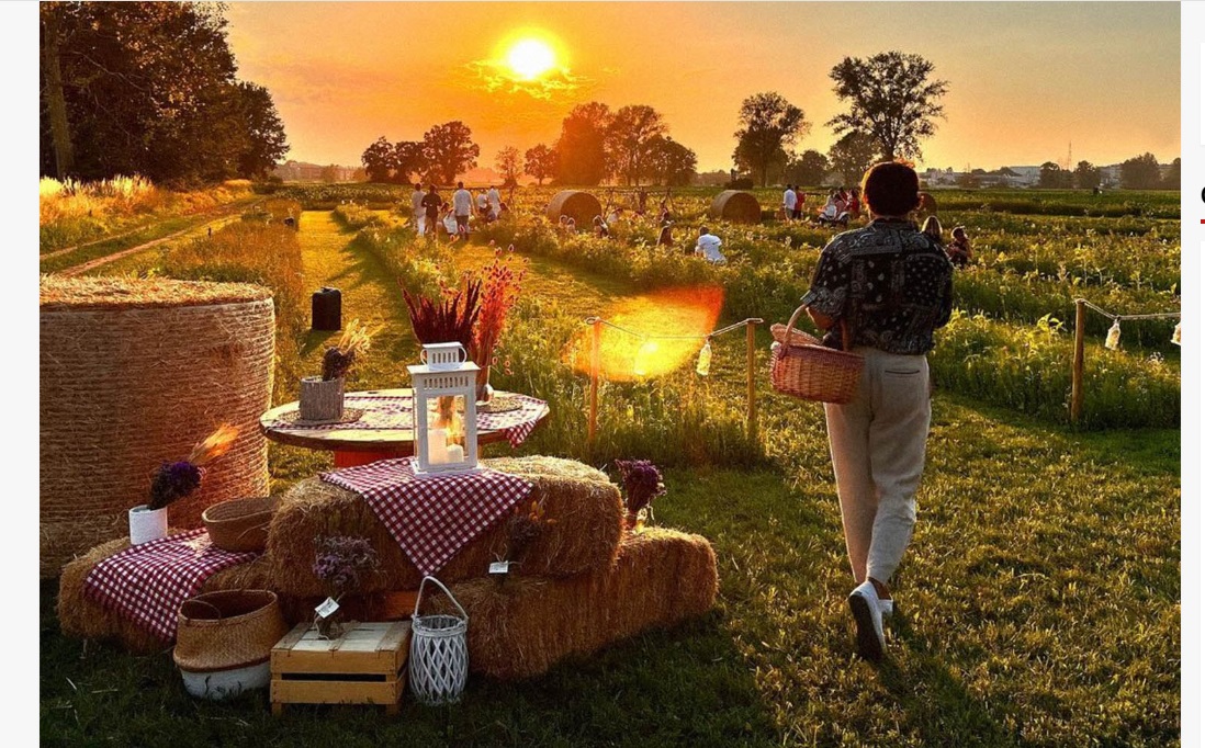 Vicino a Milano l’Aperitivo davvero speciale: Pic-nic immersi nella natura. Ecco dove