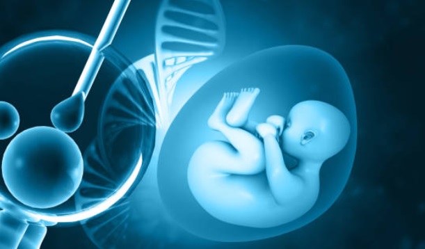 In USA con 10 mila dollari scegli i geni del tuo futuro bambino – L’offerta choc