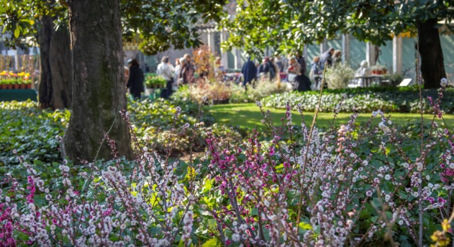 A Milano sboccia la Primavera: a Villa Necchi Campiglio la grande mostra-mercato con le piante e fiori più belli. Attese migliaia di persone