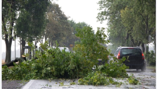A Milano scatta l’Allerta Vento – In arrivo raffiche fino a 90 Km/h. “Non sostare vicino a cantieri o dehors”