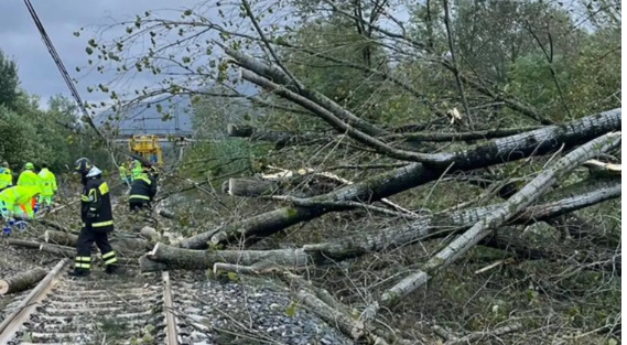 Lombardia – Alberi crollano sui binari, treni in tilt e disagi: la situazione