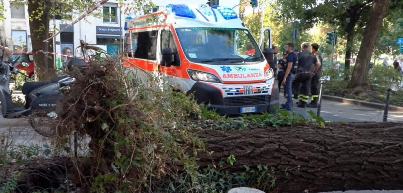 Paura a Milano – Albero crolla sui passanti in piazza Risorgimento. Ci sono feriti