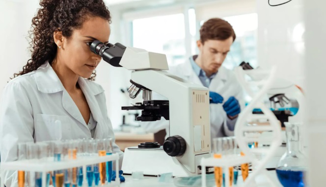 L’Italia è fra i Paesi al mondo che spende meno in Ricerca e Sviluppo – Solo l’1,4% del PIL: confronto impietoso con USA, Germania e altre potenze